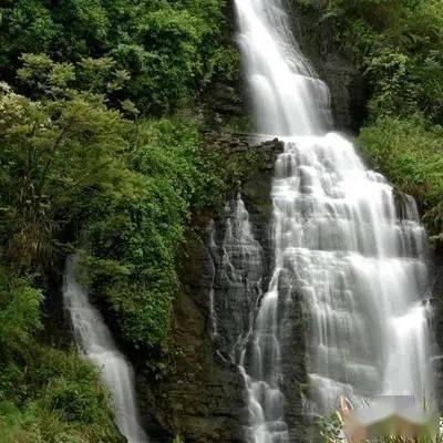 两会观察|窗口排长队、自助不会用? 委员献策为政务服务便民化支招儿